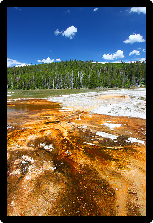 Bright orange colors of thermophilic bacteria in the Upper Geyser Basin of Yellowstone National Park.