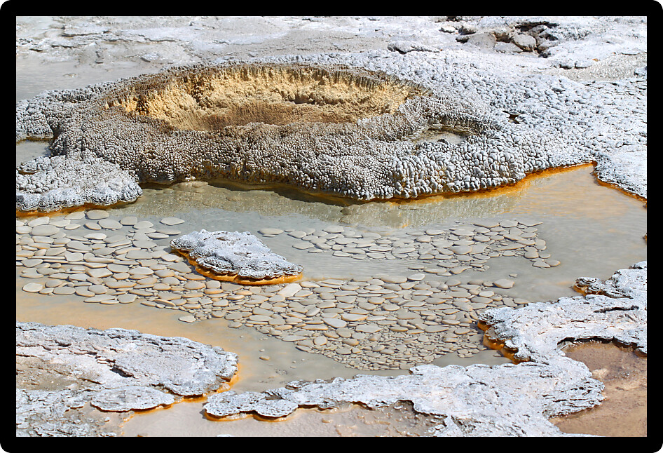 Aurum Geyser of the Upper Geyser Basin in Yellowstone National Park.