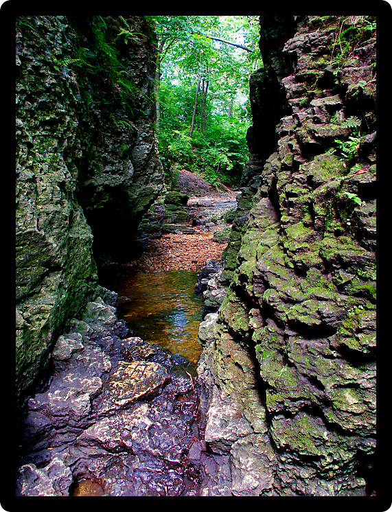 Sinuous narrow gorge in the Bourbonnais Geologic Area Nature Preserve of Perry Farm Park in Bourbonnais Illinois.