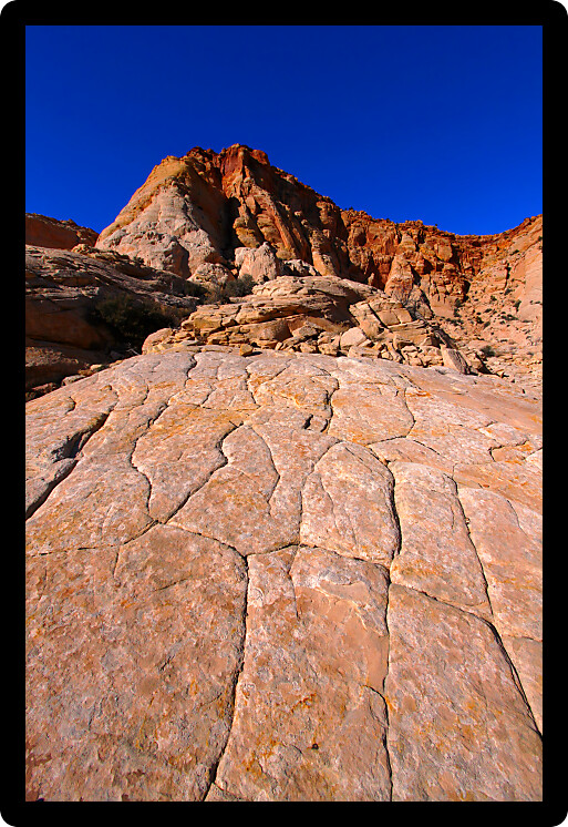 Textured rocky landscape at Capitol Reef National Park in Utah.