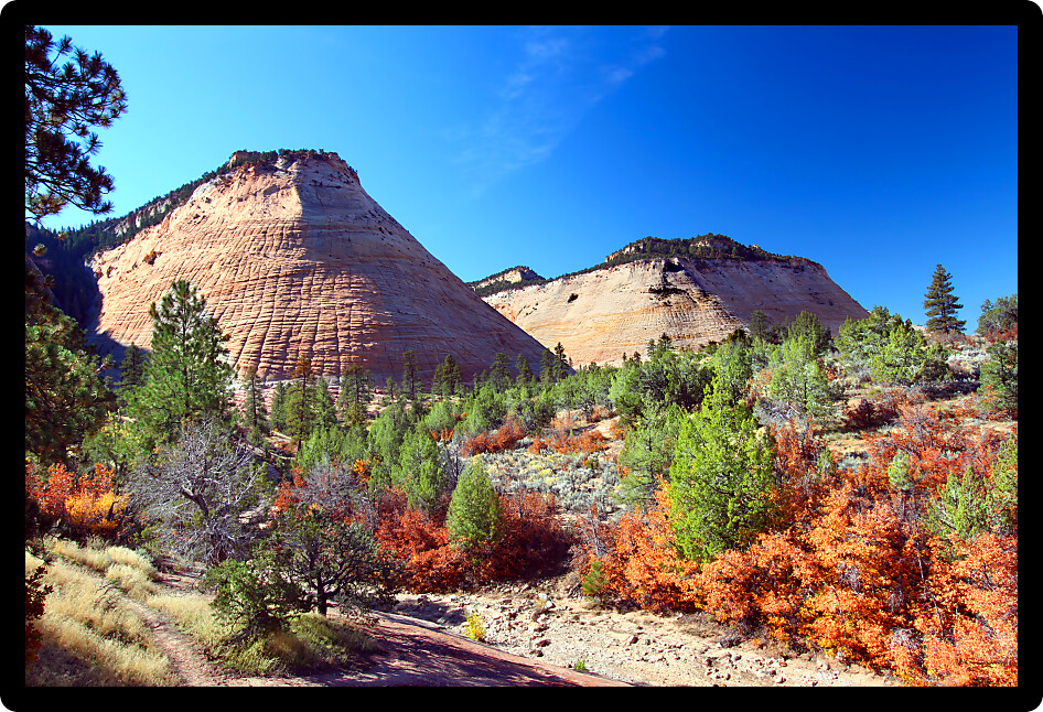 Checkerboard Mesa is a rock formation in the eastern portion of Zion National Park in Utah.