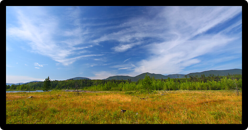 Prairie scene at the western edge of Glacier National Park in Montana.
