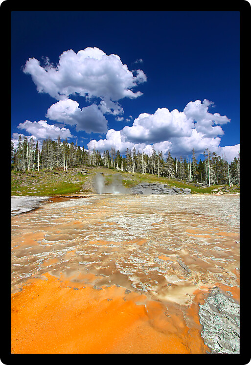 Bright colors of the thermal features near Grand Geyser of Yellowstone National Park.