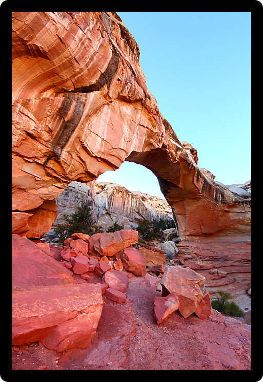 Hickman Natural Bridge spans a canyon at Capitol Reef National Park of Utah.