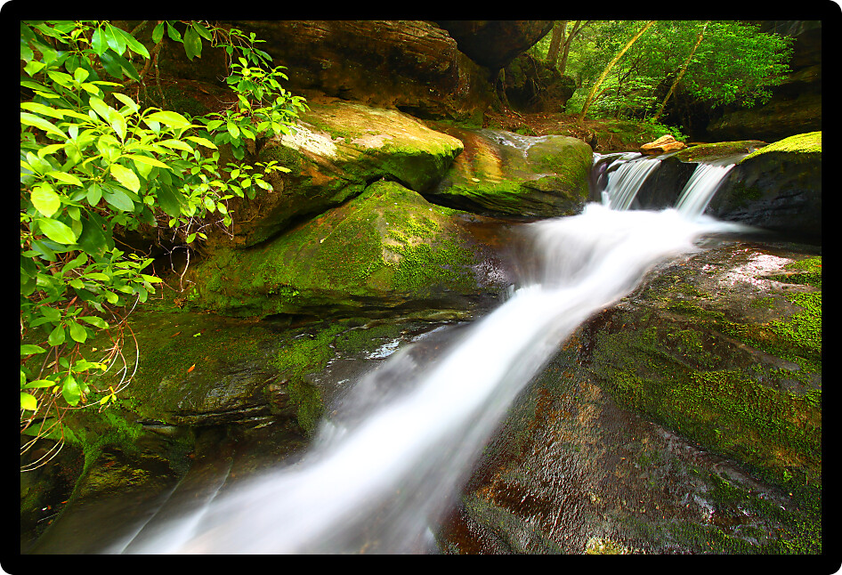 Cascading waters of the Lower Caney Creek Falls in the Bankhead National Forest of Alabama.