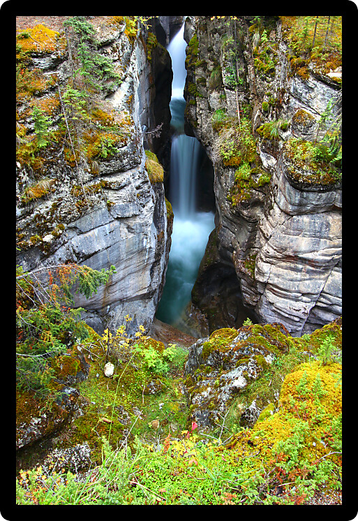 Lush vegetation surrounds a waterfall through Maligne Canyon of Jasper National Park in Canada.