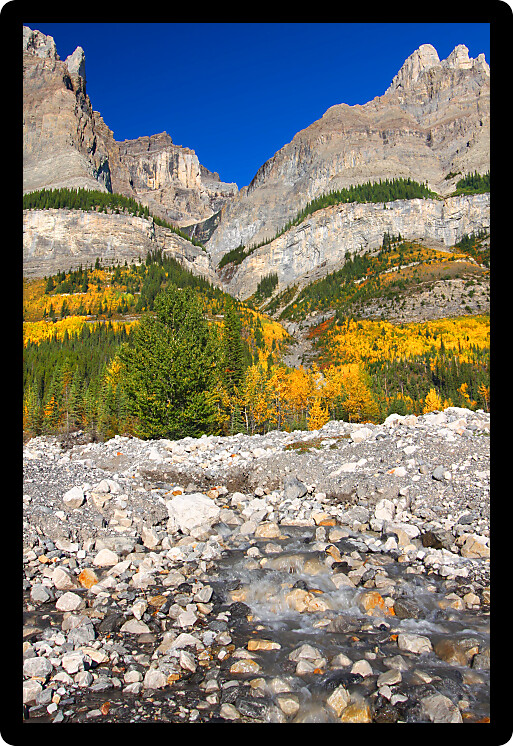 Cascading water flows down of the pine covered cliffs of Mount Wilson in Banff National Park Canada.