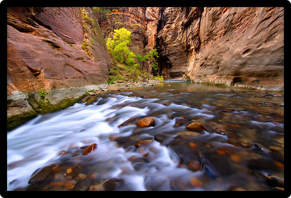 Beautiful Virgin River flows through The Narrows of Zion Canyon in Utah.