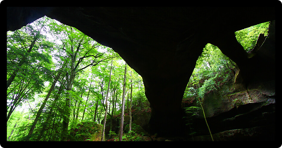 Giant Natural Bridge spans the lush forests of Alabama USA.