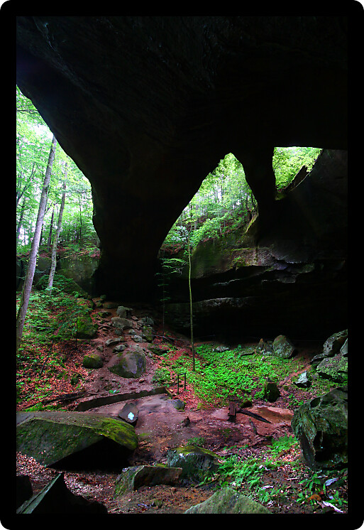 Natural Rock Bridge towering over the dense forests of Alabama.