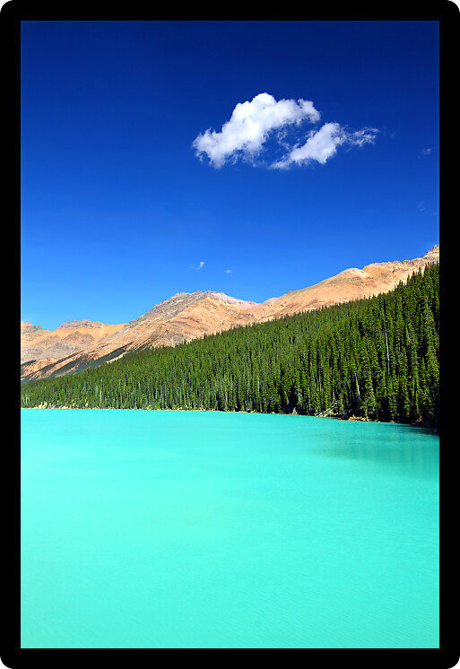 Bright waters of Peyto Lake at Banff National Park in Canada.