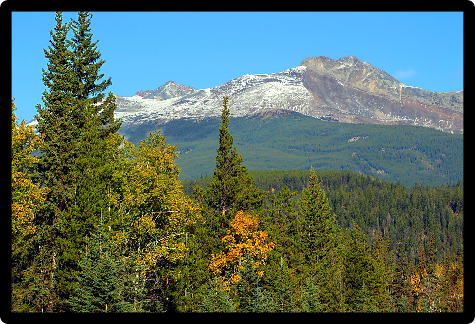Pyramid Mountain rises high above the forests near the Canadian town of Jasper.