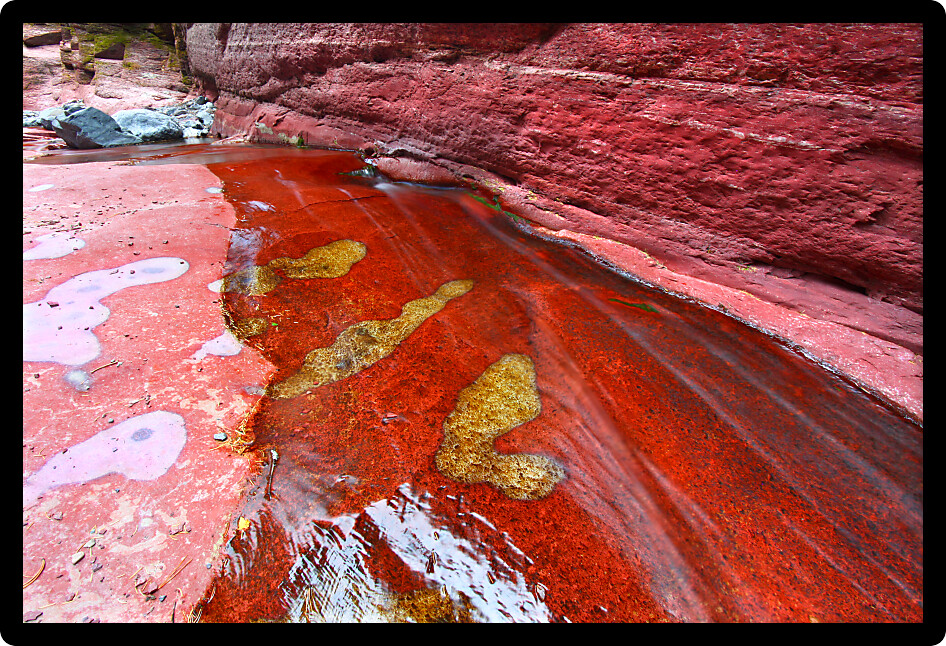 Stream at the bottom of Red Rock Canyon of Waterton Lakes National Park Canada.