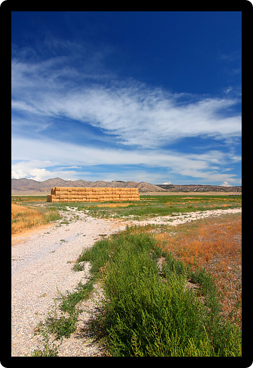 Rural agricultural scenery of Idaho on a sunny summer day.