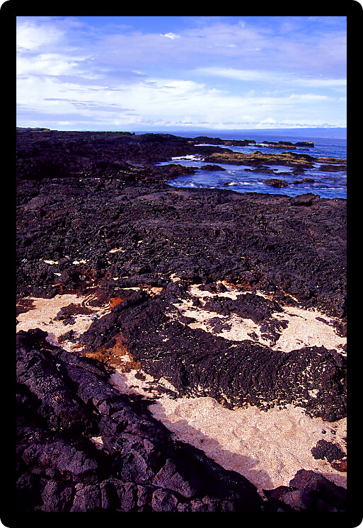 Volcanic rock covers the beach near Puerto Egas on Santiago Galapagos Islands.