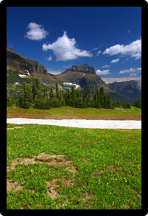 Melting snow at Logan Pass of Glacier National Park in northern Montana.