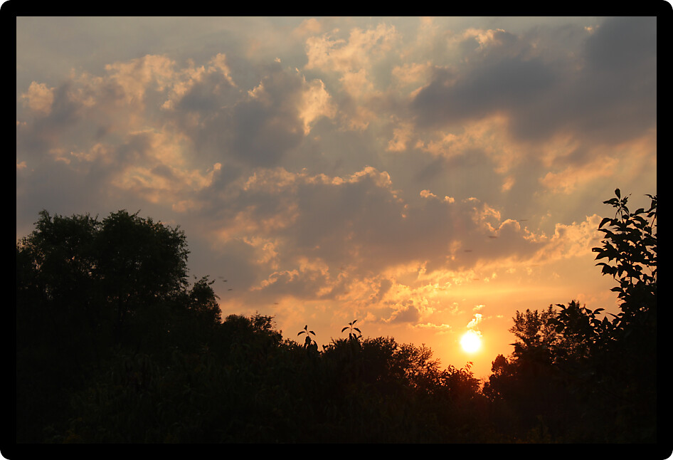 Sunset clouds over a forest of northern Illinois.