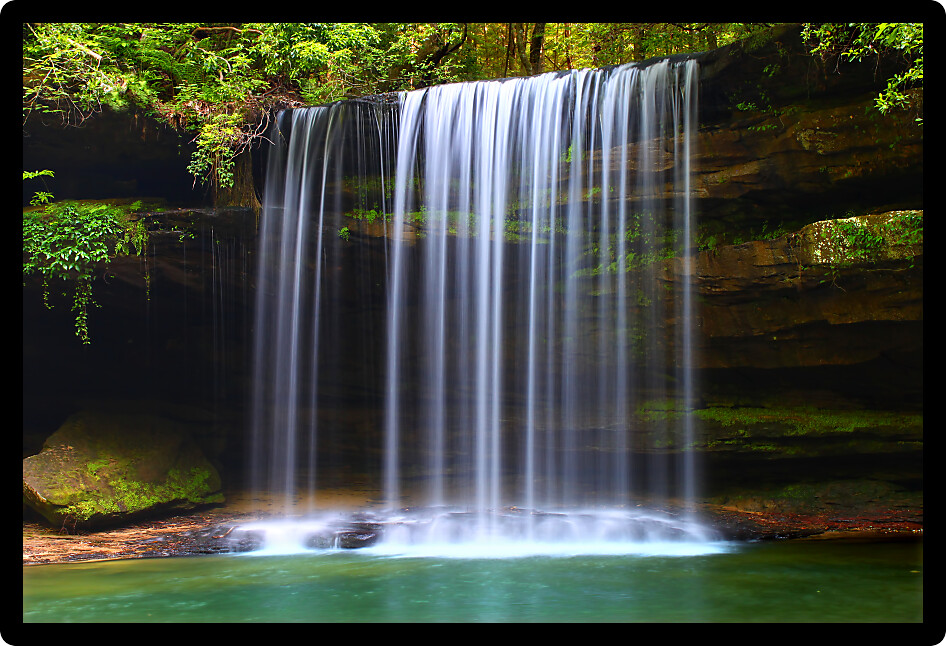 Upper Caney Creek Falls in the William B Bankhead National Forest of Alabama.