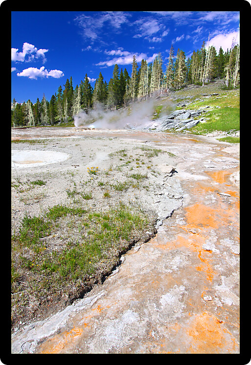 View of the thermal features near Grand Geyser of Yellowstone National Park.
