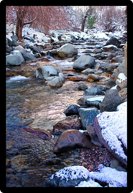 Icy waters of Grizzly Creek in the White River National Forest of Colorado.