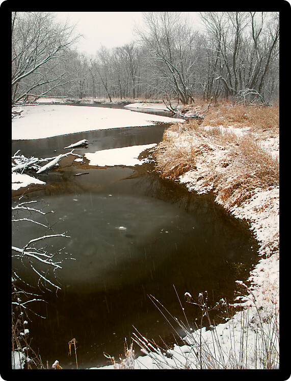 Snowy day along the Kishwaukee River of Illinois USA.