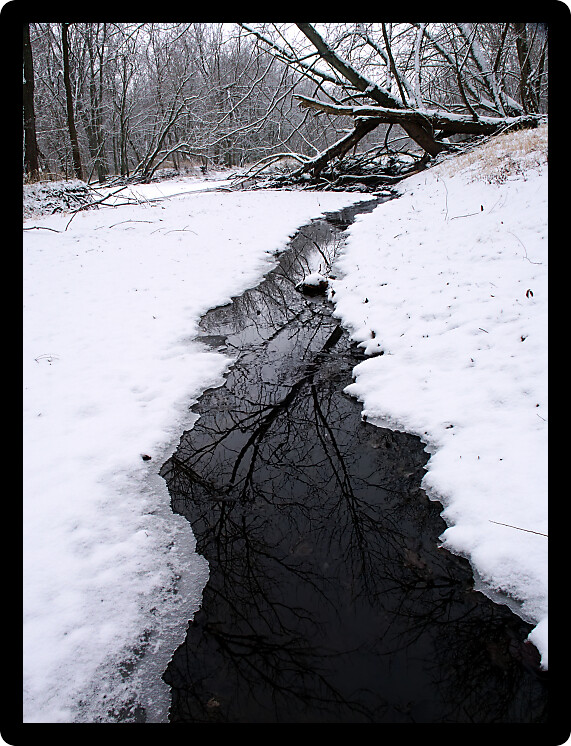 Stream runs through thick snowfall at Lib Conservation Area in northern Illinois.