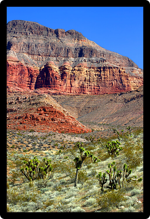 Landscape of the Beaver Dam Mountains Wilderness Area in the northwest corner of Arizona.