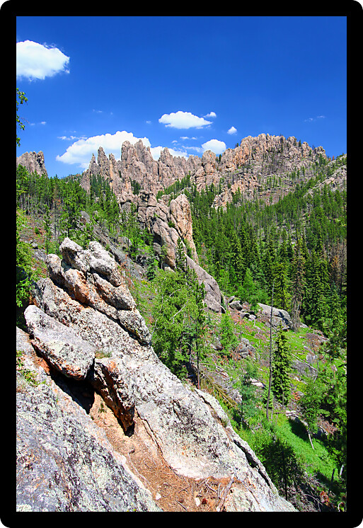 Black Hills of South Dakota is scattered with rock formations referred to as the Needles.