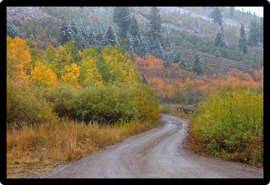 Dirt road winding through autumn scenery in the Cache National Forest of Utah.