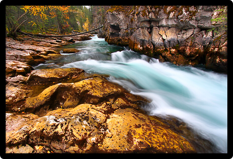 Cascading waters through Maligne Canyon of Jasper National Park in Canada.