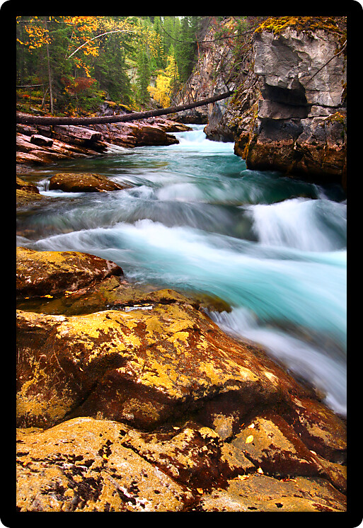 Cascading waters through Maligne Canyon of Jasper National Park in Canada.