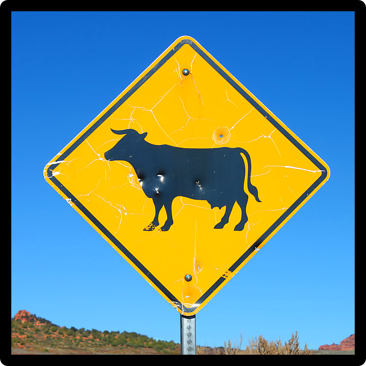 Cattle Grazing Sign in a rural southwestern area of Utah.