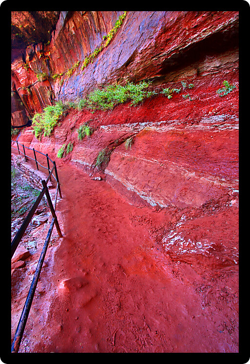 Brilliant hues of red rock along the Emerald Pool Trail of Zion National Park of Utah.