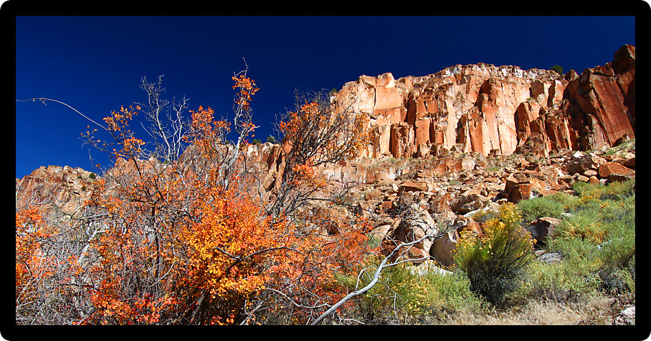 Wildflowers grow through a rocky landscape at Fremont Indian State Park of Utah.