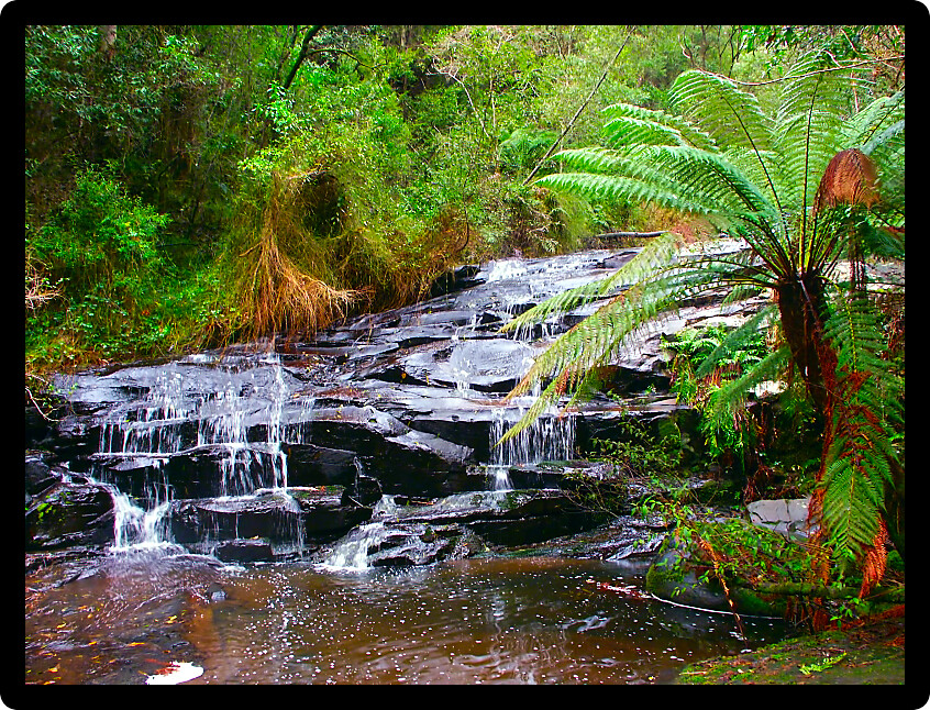 Rainforest cascade in the Great Otway National Park of southern Victoria Australia. 
