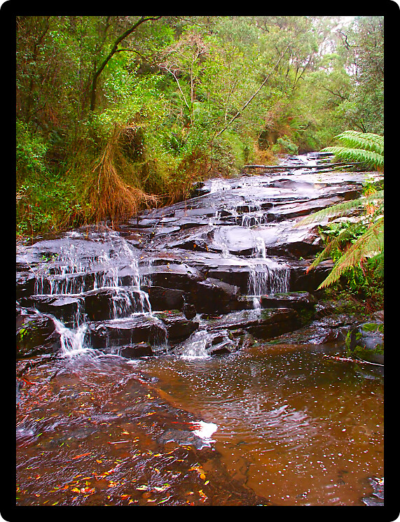 Beautiful rainforest cascade in the Great Otway National Park of southern Victoria Australia. 