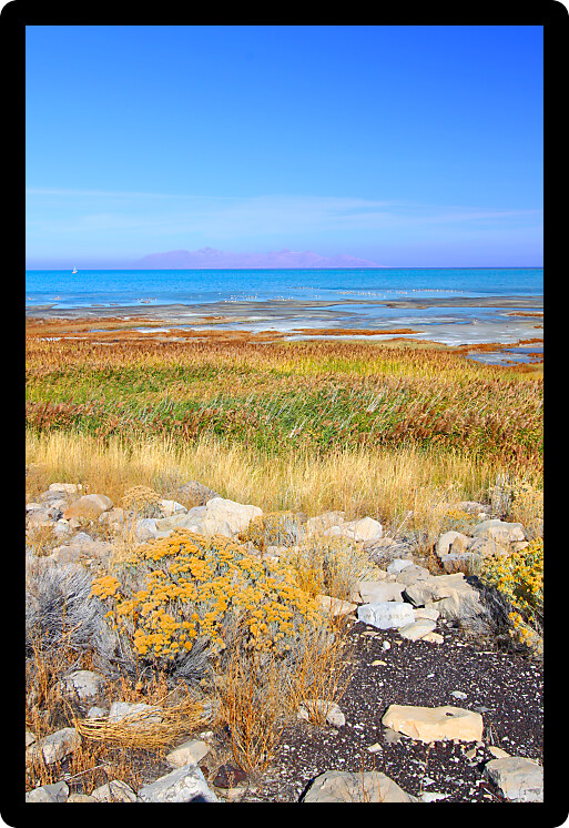 Landscape at Great Salt Lake State Park in northern Utah.