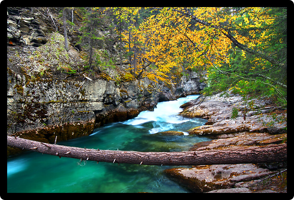 Beautiful blue waters flow through Maligne Canyon of Jasper National Park in Canada.
