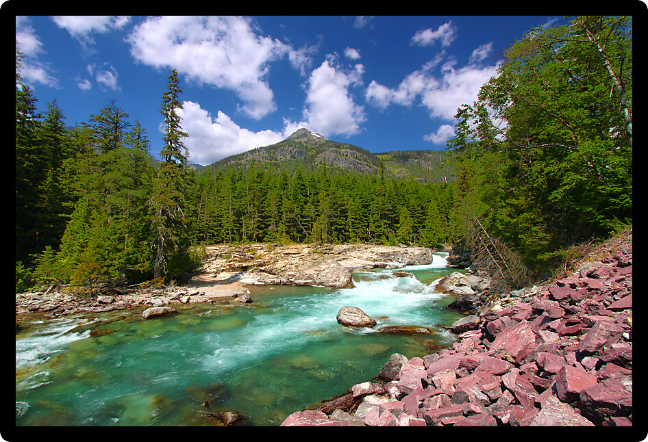 McDonald Creek flows swiftly through the forests of Glacier National Park in Montana.
