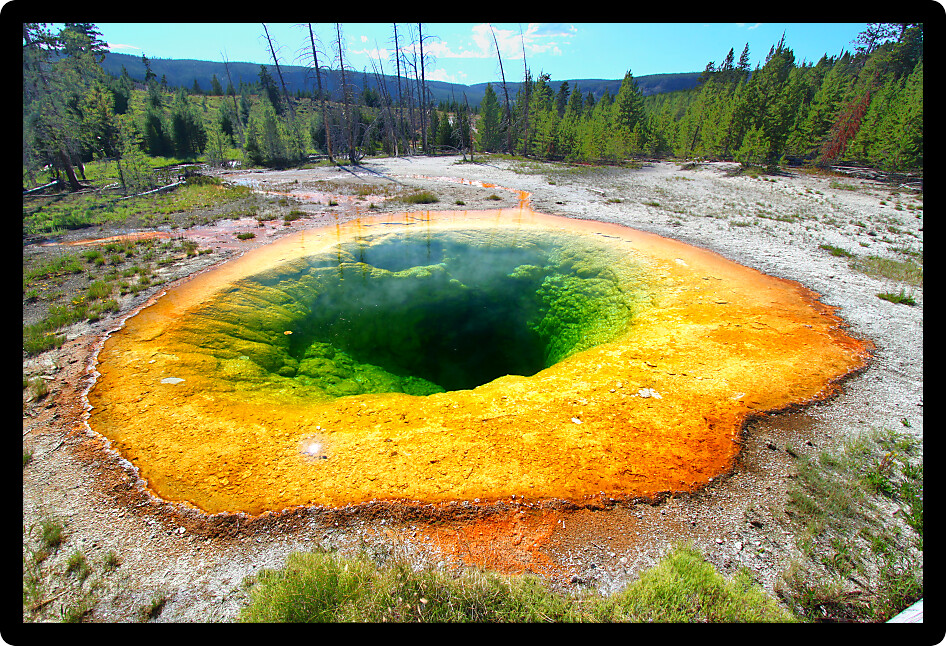 Bright colors of the Morning Glory Pool in Yellowstone National Park of Wyoming.