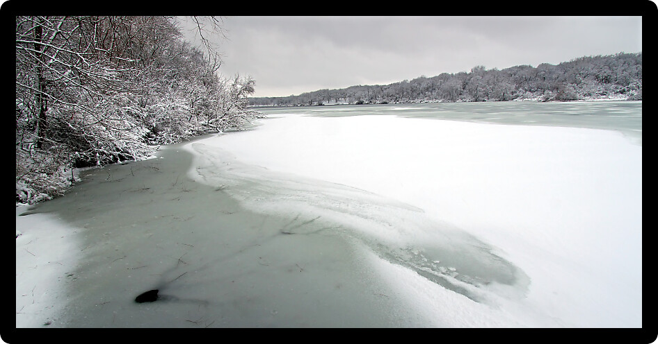 Shoreline of Pierce Lake on a snowy winter day at Rock Cut State Park in Illinois.
