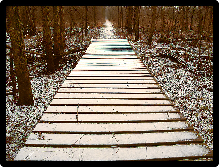 Light snow over a wooden boardwalk on an Illinois hiking trail.