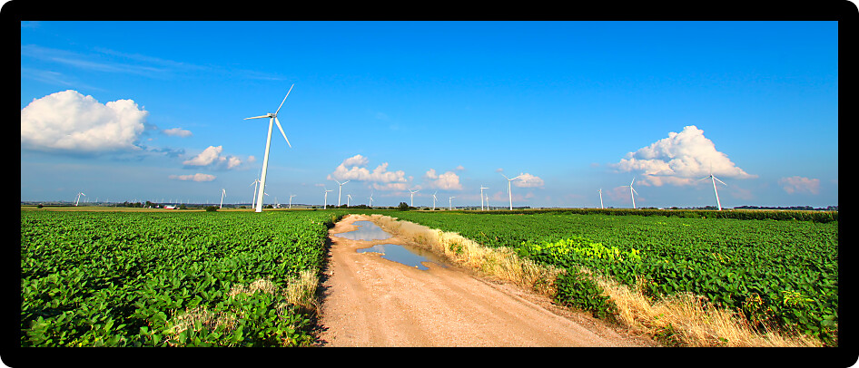 Flat agricultural lands of northern Illinois stretch into the distance on a beautiful sunny day.