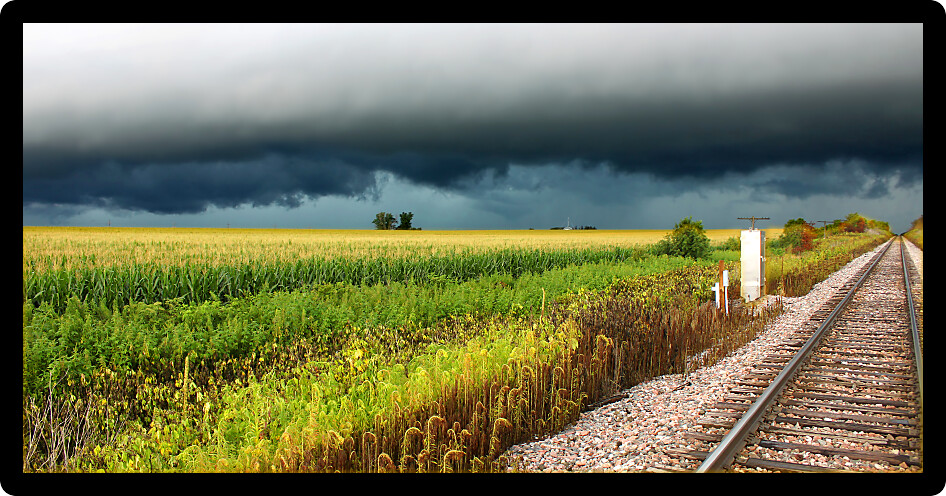 Thunderstorm over railroad tracks and corn fields of northern Illinois.