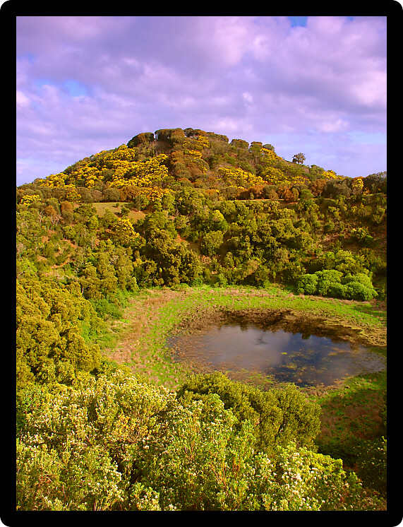 Vegetation adorns the hillsides of a small crater at Tower Hill State Game Reserve in Victoria Australia.