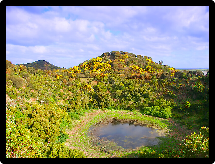 Pond at the bottom of a small crater at Tower Hill State Game Reserve in Victoria Australia.