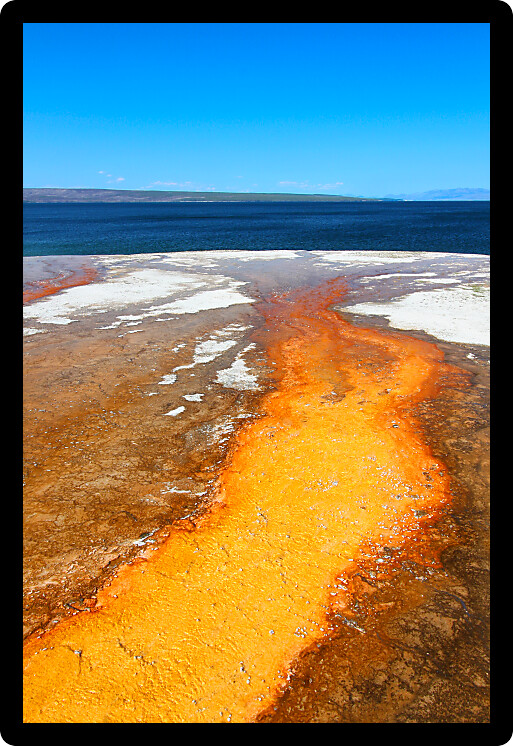 Bright orange thermophilic bacteria of the West Thumb Geyser Basin in Yellowstone National Park.