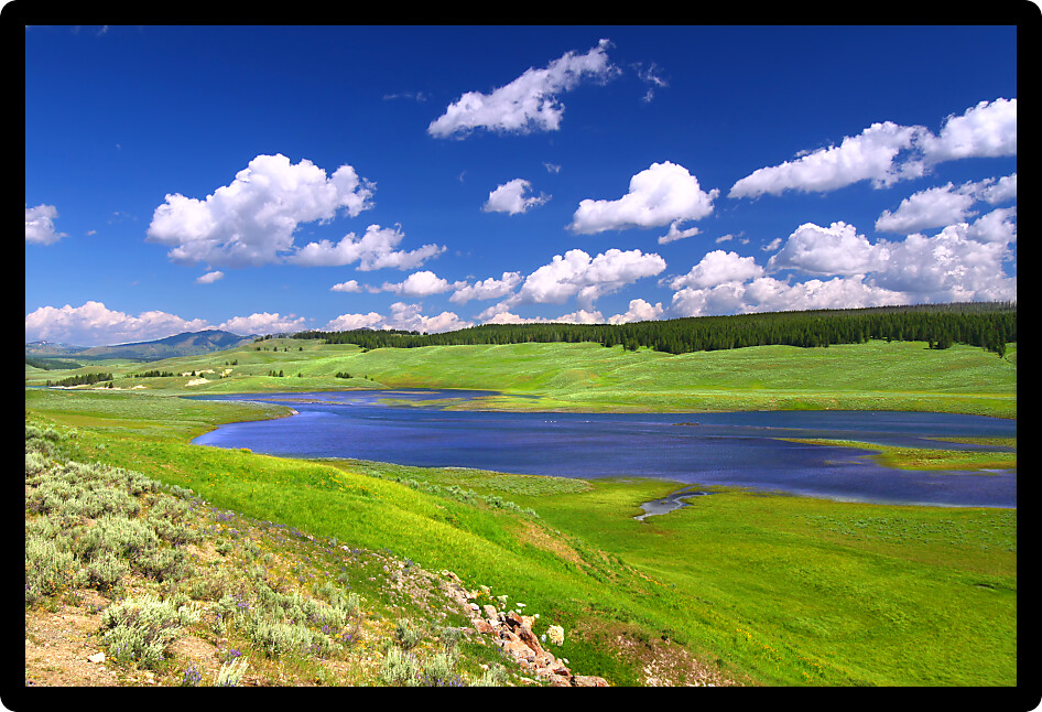 Yellowstone River flows through Hayden Valley on a gorgeous summer day.