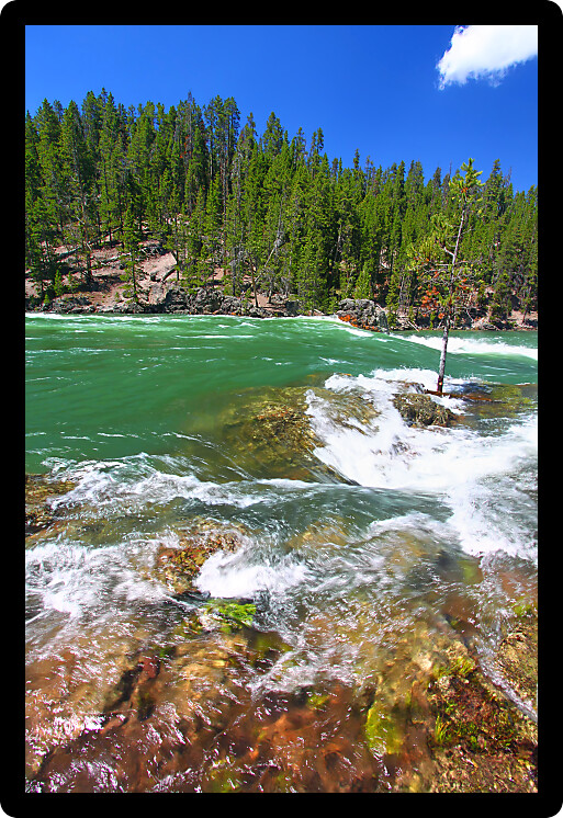 Swift current and rapids of the Yellowstone River fueled by snowmelt of the previous winter.